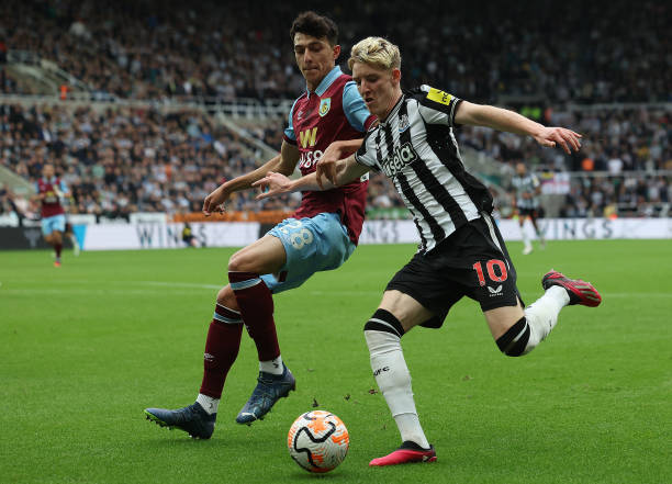 的评判标准 的评判标准